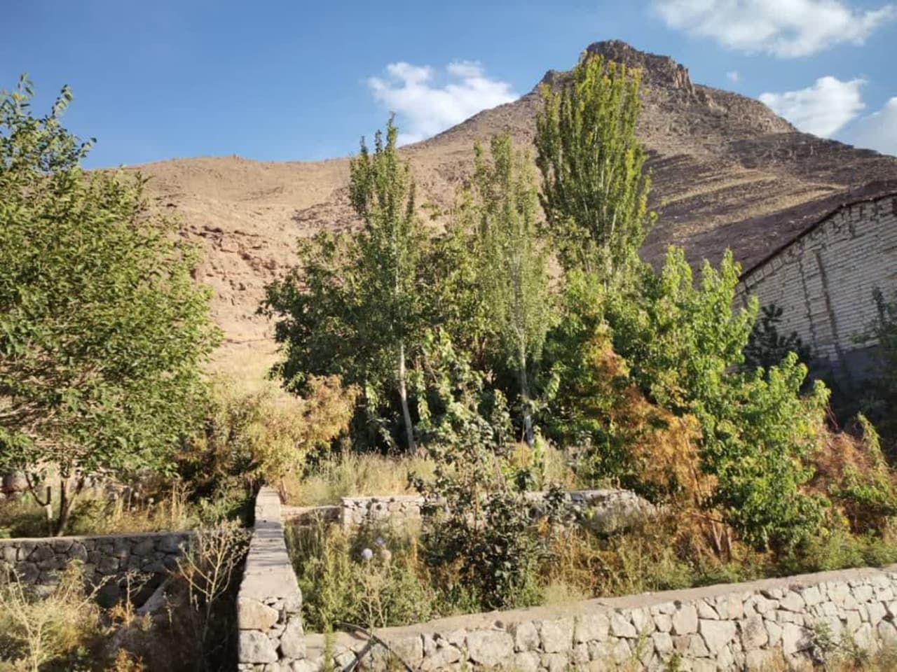 خونه باغ
